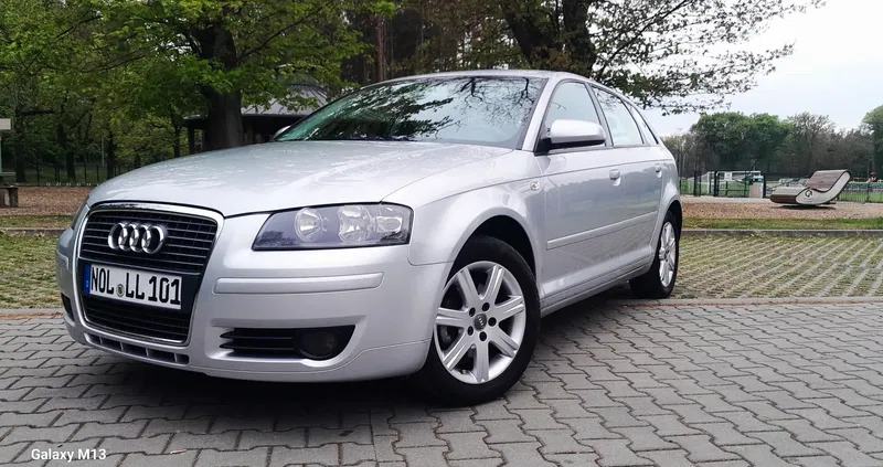 żary Audi A3 cena 16500 przebieg: 227000, rok produkcji 2005 z Żary